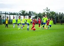 沃克透露,米兰之旅暂,告一段落,彩神网,彩票平台,精准预测,彩票投注,高频彩票