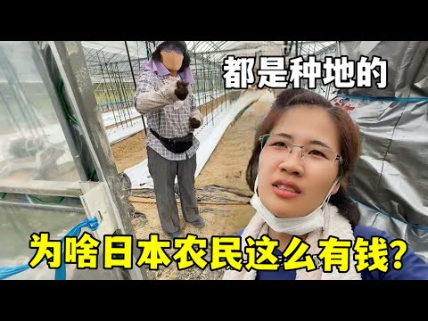 姆巴佩夺卡,丁车赛冠军,阿扎尔紧随,彩神网,彩票平台,精准预测,彩票投注,高频彩票