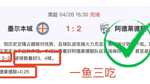 大乐透期号专家质合分析推荐：埃及超降级战30天战绩